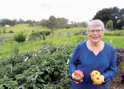 The Big Idea Behind Dwarf Tomatoes